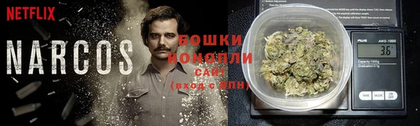 стаф Балахна