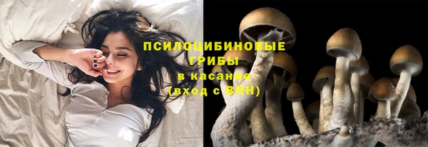 кокаин перу Рославль
