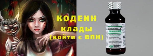 стаф Балахна