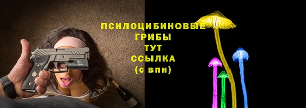 стаф Балахна