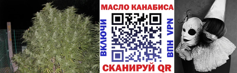 OMG tor Зубцов ТГК вейп с тгк