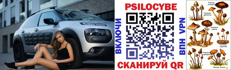 Галлюциногенные грибы Psilocybe Зубцов