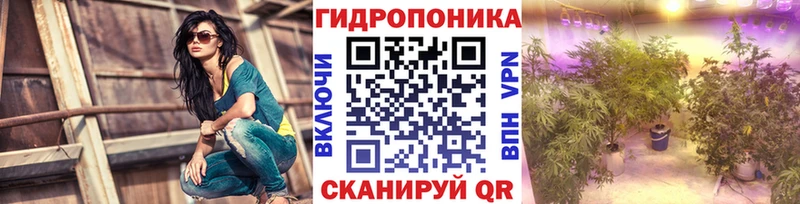Бошки Шишки марихуана  Зубцов 